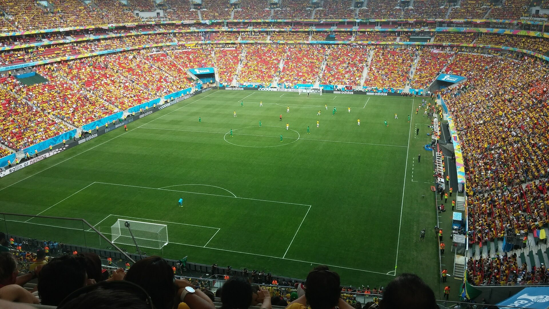 Crowd in Stadium